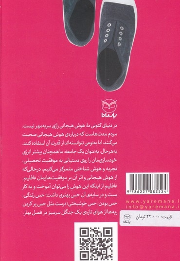 مهارت های هوش هیجانی - مهارت های خلق عمومی